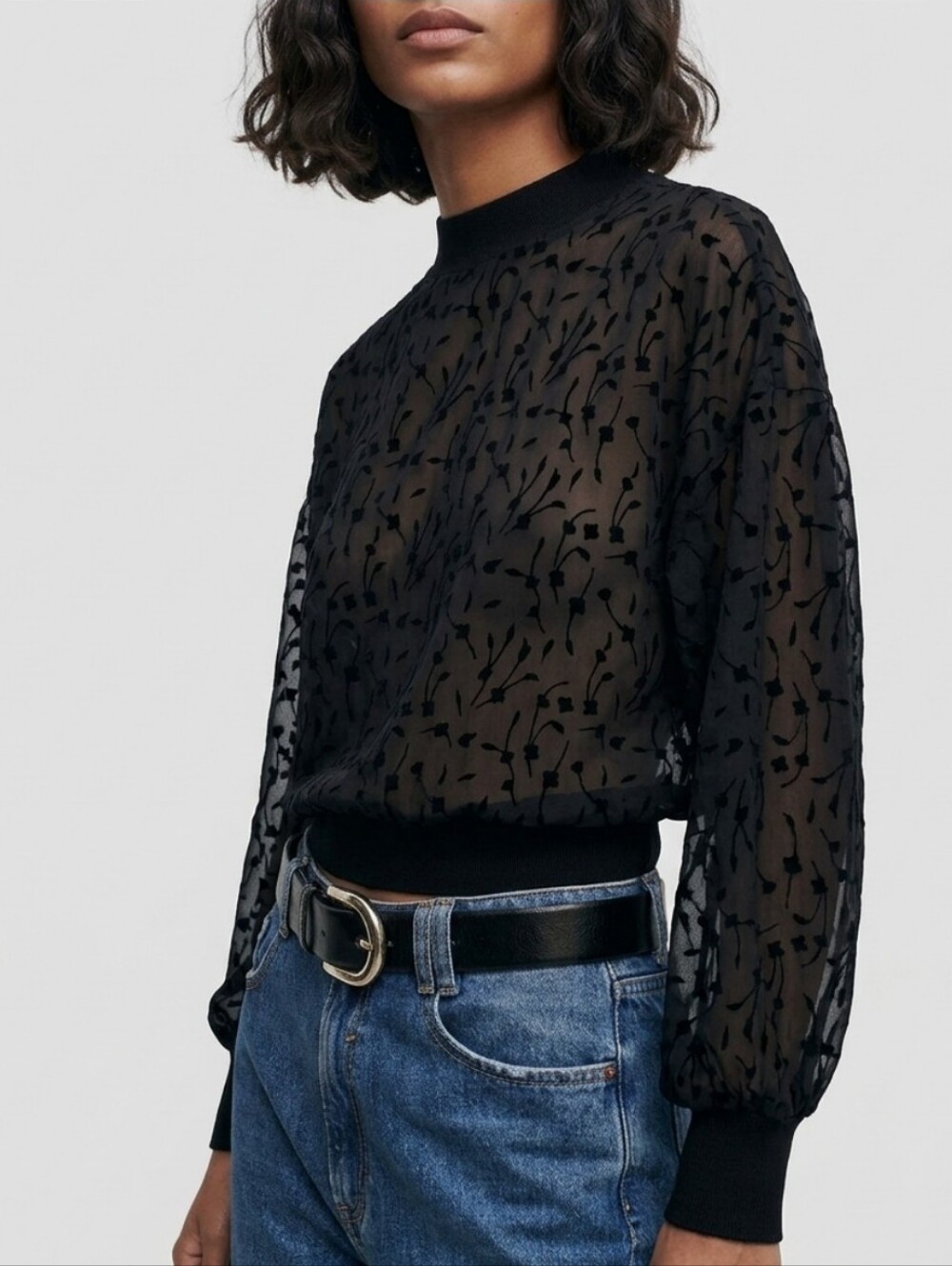 Zara Elegant Semi Sheer Long Sleeve High Neck Blouse / Top In Black